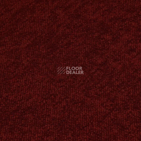 Haima Coral 36 фото 7 | FLOORDEALER